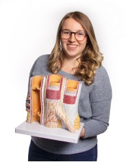 Modello anatomico di cuore con ghiandola del timo in 3 parti G108