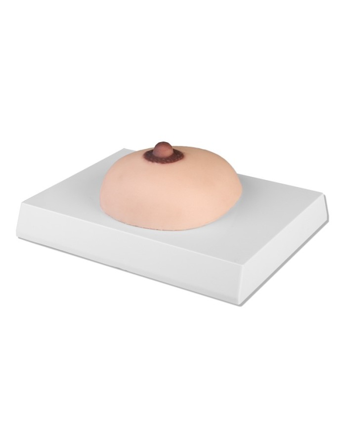 Simulatore per palpazione del seno con noduli Erler Zimmer L281