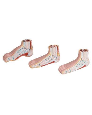 Piede normale piede cavo piade piatto Erler Zimmer M233 Piede normale piede cavo piade piatto Erler Zimmer M233