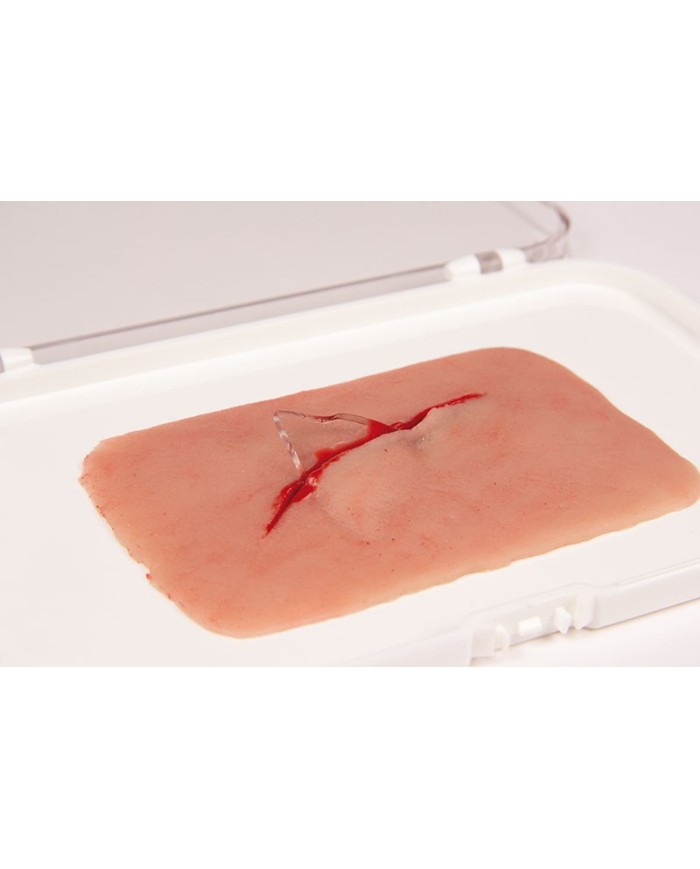 Moulage e simulazione di ferita con taglio da scheggia di vetro Erler Zimme