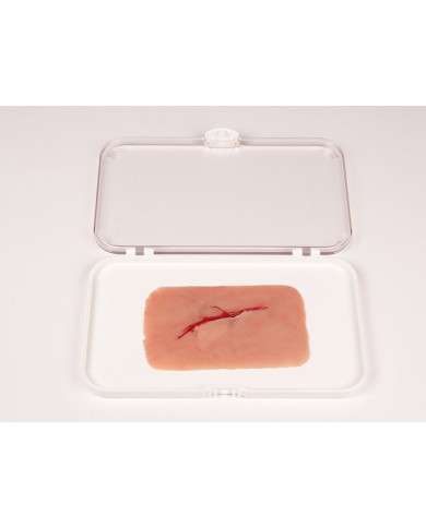 Moulage e simulazione di ferita con taglio da scheggia di vetro Erler Zimme