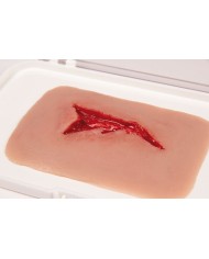 Moulage e simulazione di ferita da lacerazione Erler Zimmer NW003
