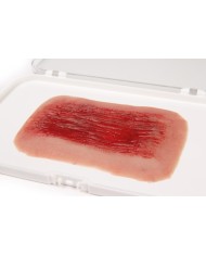Moulage e simulazione di ferita abrasione Erler Zimmer NW006