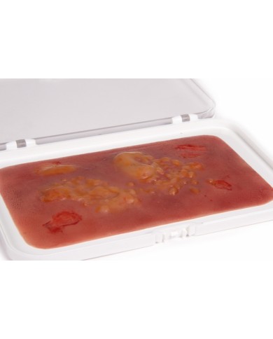 Moulage e simulazione di ferita da ustione di secondo grado Erler Zimmer NW