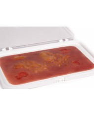 Moulage e simulazione di ferita da ustione di secondo grado Erler Zimmer NW