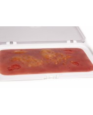 Moulage e simulazione di ferita da ustione di secondo grado Erler Zimmer NW