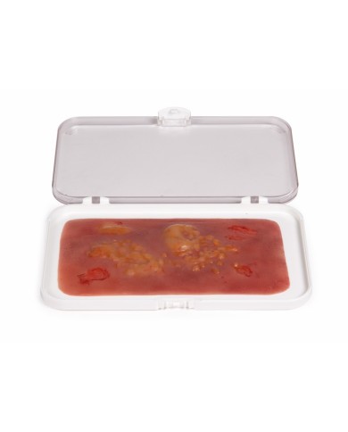 Moulage e simulazione di ferita da ustione di secondo grado Erler Zimmer NW