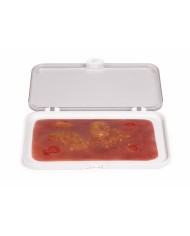 Moulage e simulazione di ferita da ustione di secondo grado Erler Zimmer NW