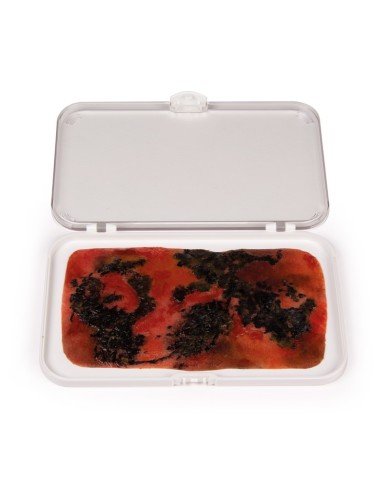 Moulage e simulazione di ferita da ustione di terzo grado Erler Zimmer NW00