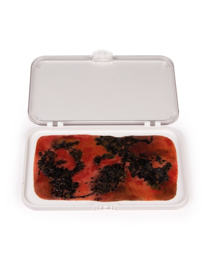 Moulage e simulazione di ferita da ustione di terzo grado Erler Zimmer NW00