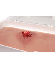 Moulage e simulazione di ferita del braccio con frattura esposta e funzione