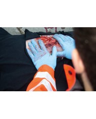 Moulage e simulazione di ampia lacerazione con lacerazioni minori con funzi