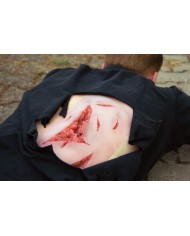 Moulage e simulazione di ampia lacerazione con lacerazioni minori con funzi