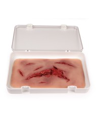 Moulage e simulazione di ampia lacerazione con lacerazioni minori con funzi