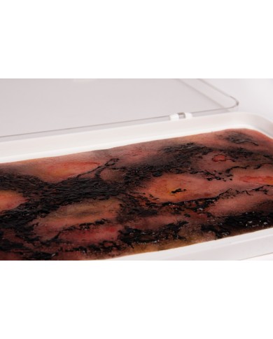 Moulage e simulazione di ustione di terzo grado Erler Zimmer NW107