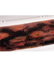 Moulage e simulazione di ustione di terzo grado Erler Zimmer NW107