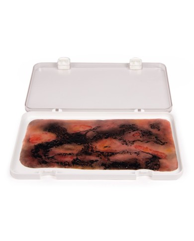 Moulage e simulazione di ustione di terzo grado Erler Zimmer NW107