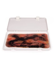 Moulage e simulazione di ustione di terzo grado Erler Zimmer NW107