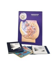 3B Scientific. Set per l'insegnamento, Sistema di riproduzione femminile W40214