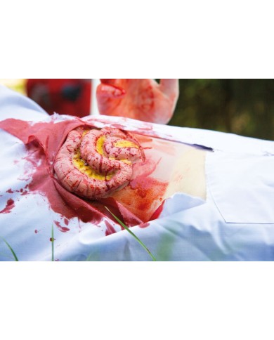 Moulage e simulazione di ferita addominale con protrusione dell intestino t