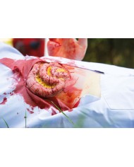Moulage e simulazione di ferita addominale con protrusione dell intestino t
