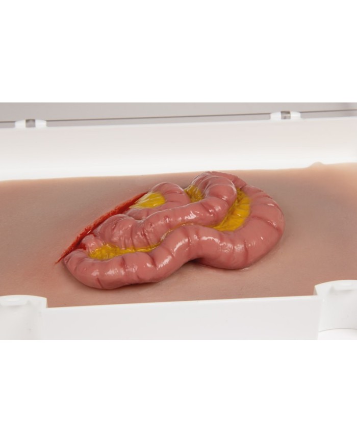 Moulage e simulazione di ferita addominale con protrusione dell intestino t