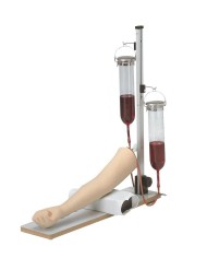 Braccio per l'addestramento alle iniezioni endovenose e prelievi di sangue Erler Zimmer LM28