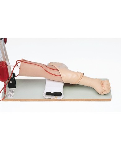 Braccio per l'addestramento alle iniezioni endovenose e prelievi di sangue Erler Zimmer LM28