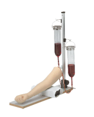 Braccio per l'addestramento alle iniezioni endovenose e prelievi di sangue Erler Zimmer LM28