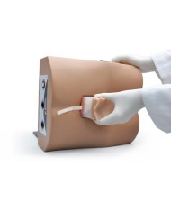 Simulatore per addestramento all'iniezione lombare Gaumard S411