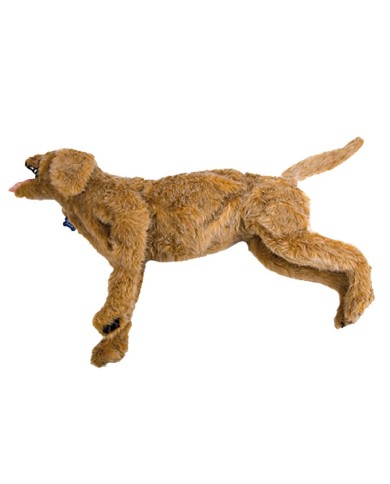 Manichino di Cane per terapia intensiva CPR Jerry