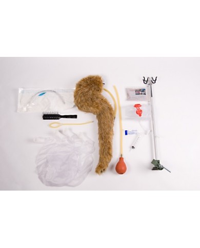 Manichino di Cane per terapia intensiva CPR Jerry