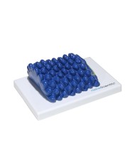 Set di Modelli Anatomici dei Virus 4 Pezzi 