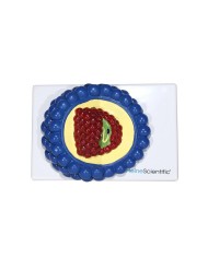 Set di Modelli Anatomici dei Virus 4 Pezzi 