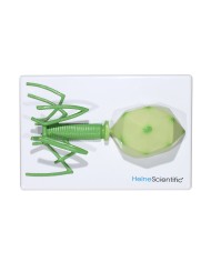 Set di Modelli Anatomici dei Virus 4 Pezzi 