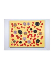 Modello Anatomico delle Cellule del Sangue Ingrandito 2000x 