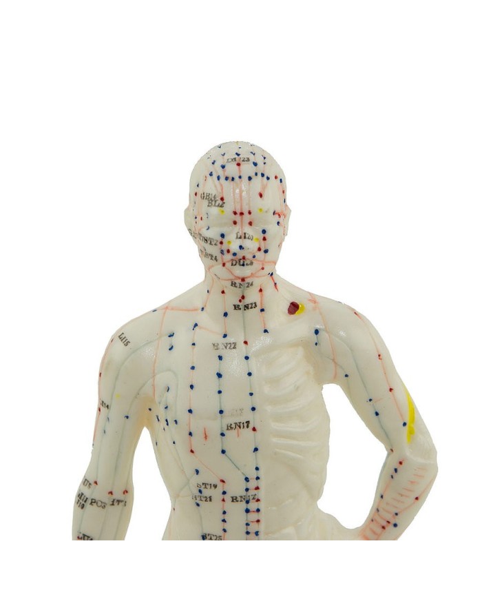 Manichino maschile per Agopuntura da scrivania