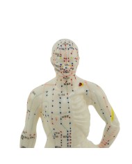 Manichino maschile per Agopuntura da scrivania