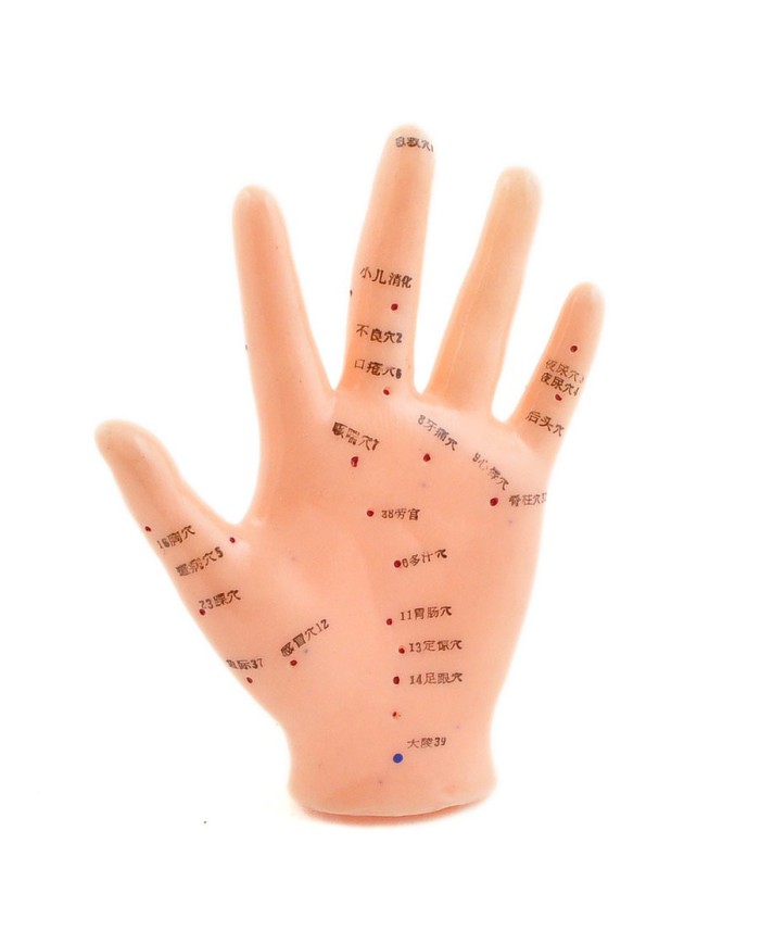 Modellino di mano per agopuntura a dimensioni naturali Modellino di mano per agopuntura a dimensioni naturali