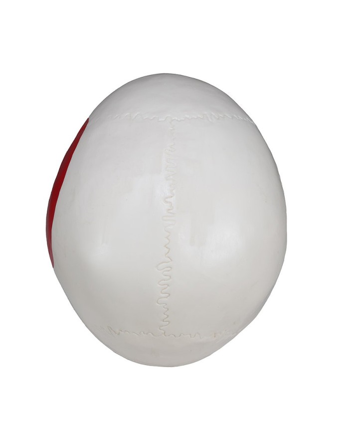 Modello di Cranio in tre parti con muscoli ed inserzioni