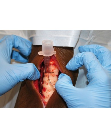 Simulatore per la tracheotomia del Cane Louie K9