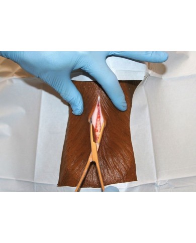 Simulatore per la tracheotomia del Cane Louie K9