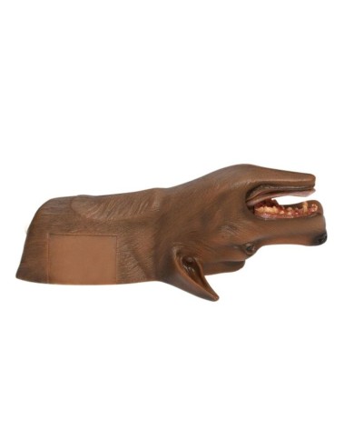 Simulatore per la tracheotomia del Cane Louie K9