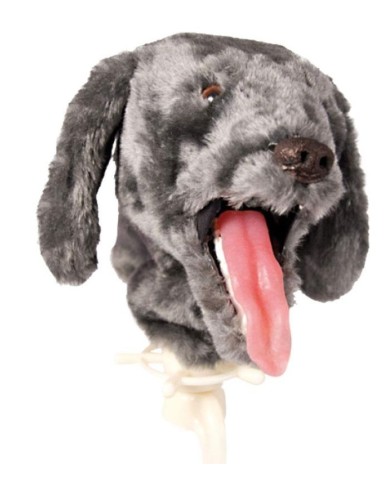 Simulatore per intubazione del cane Erler Zimmer VET4080 