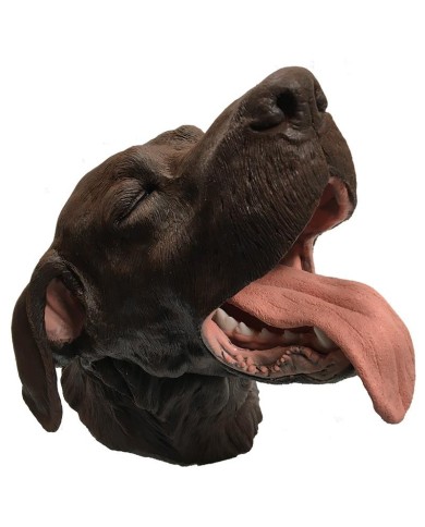 Simulatore per Odontoiatria Veterinaria Erler Zimmer VET4560