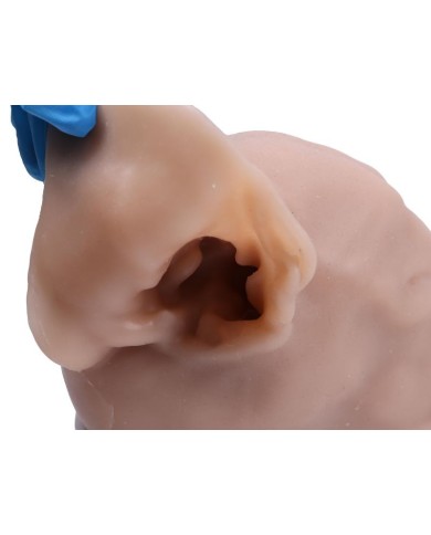 Simulatore per Otoscopia Veterinaria Erler Zimmer VET4670