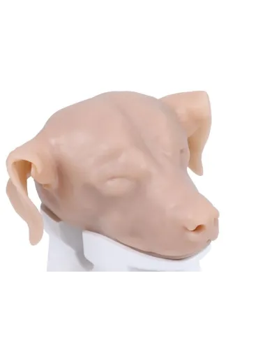 Simulatore per Otoscopia Veterinaria Erler Zimmer VET4670