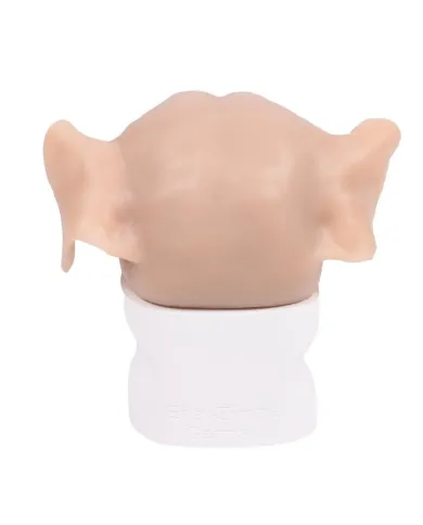 Simulatore per Otoscopia Veterinaria Erler Zimmer VET4670