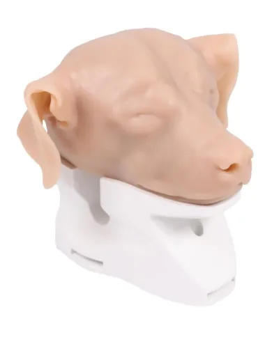 Simulatore per Otoscopia Veterinaria Erler Zimmer VET4670