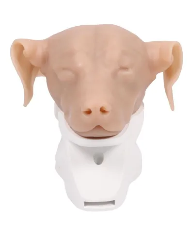 Simulatore per Otoscopia Veterinaria Erler Zimmer VET4670